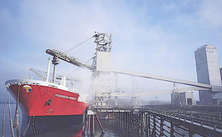 出口外貿(mào)軟件選擇不止千萬，匯信給你靠譜的答案